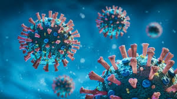 Ilustrasi covid-19-1635071258