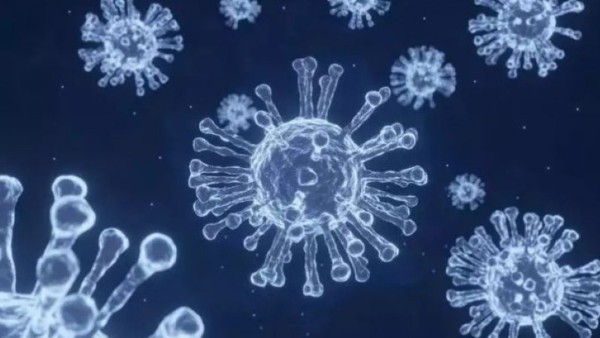 Ilustrasi covid-19-1635593344