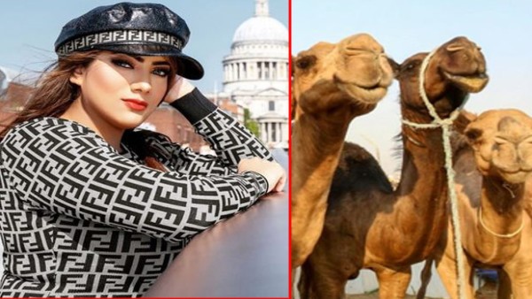 Model Cantik-1636688296