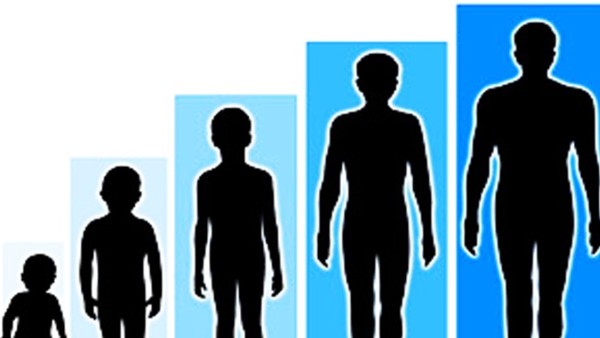 pertumbuhan tinggi badan-1636614328