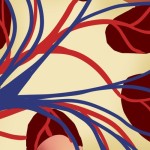 Ilustrasi ginjal-1644485968