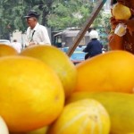 Timun suri, buah primadona di bulan puasa-1649084306