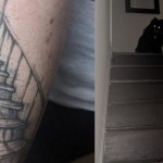 Tato Anjing-1661565637