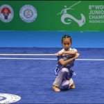 Wushu-1670588408