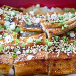 Unagi-1690876505