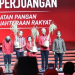 PDIP-1696040176