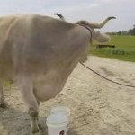 Rekor Dunia-1694839871