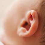 Ilustrasi telinga (ANTARA/Pexels/Burst)-1699270114