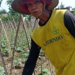petani-1701854027