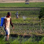 petani-1701934642