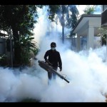 Fogging-1704967680
