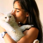 Peluk kucing digaji-1714374981