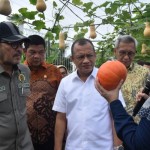 Budhy Setiawan-1714635102
