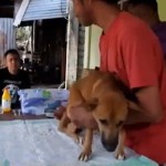 Gunung Ruang-1715046750