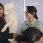 Jakarta Pets Expo 2024-1714752579