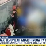 sapi ngamuk-1749269323