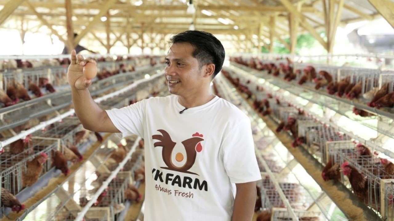 Benediktus Dalupe kerap kesulitan memasarkan telurnya sebelum adanya program MBG. (Foto: Dok/Istimewa)