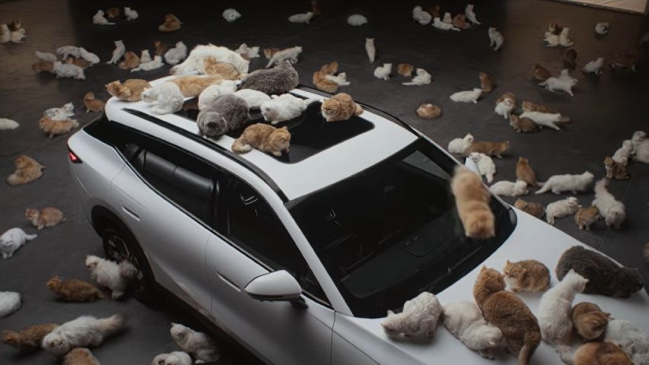 Omoda menghadirkan kampanye unik, yakni menghadirkan puluhan kucing berbulu untuk membuktikan kemampuan kaca peredam suara. (Foto: Istimewa via Carscoops)