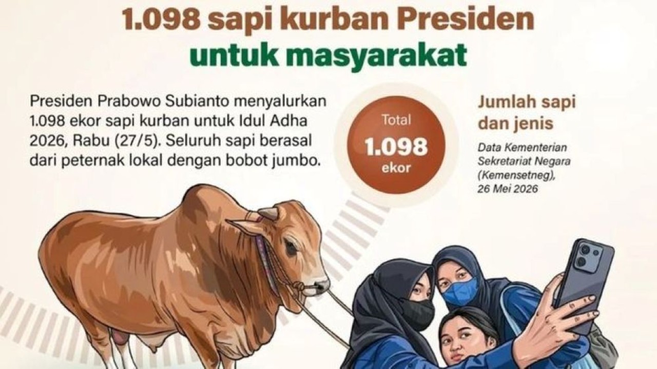Presiden Prabowo Subianto menyalurkan 1.098 ekor sapi kurban untuk Iduladha 2026, Rabu (27/5/2026). Seluruh sapi berasal dari peternak lokal dengan bobot jumbo. (Foto: Antara)