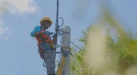 pln-1780550232