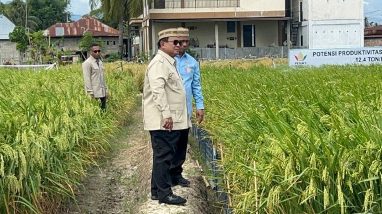 Presiden Prabowo Subianto meninjau Teknologi Budidaya Padi Pertanian Modern Model Advanced Agricultural System (PM-AAS) serta area Gelar Teknologi yang menampilkan berbagai inovasi di bidang pertanian, perikanan, peternakan, perkebunan, dan teknologi pendukung swasembada pangan. (Foto: NTVnews)