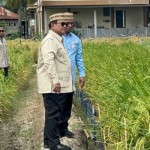 Prabowo Subianto-1782355462